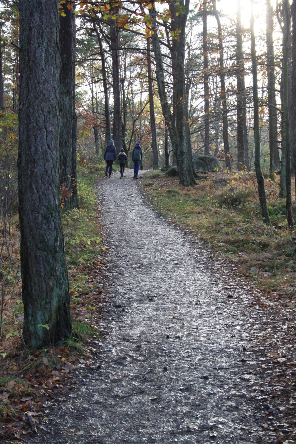 Poängpromenad